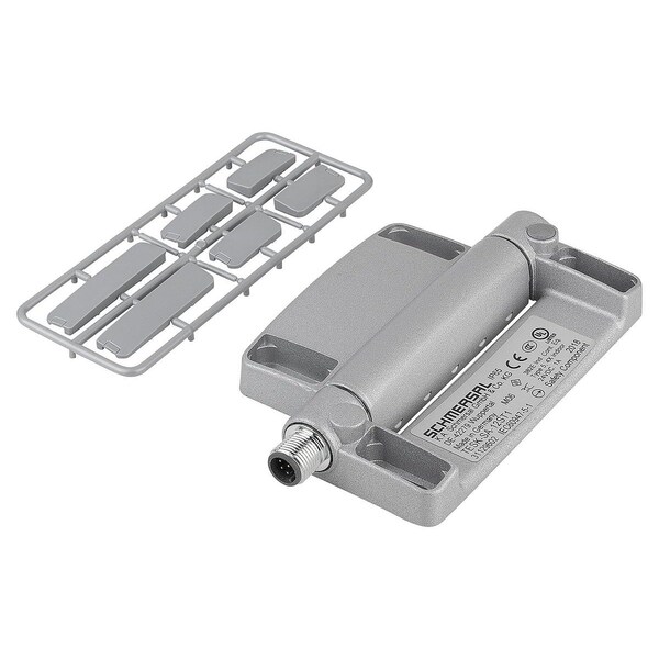 Safety Hinge Switch  78X116, Form:A, Zinc, Comp:Plastic, Mounting, , 1C / 2O